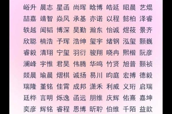 2019年6月3号子时出生的男孩应该起什么样的名字姓名