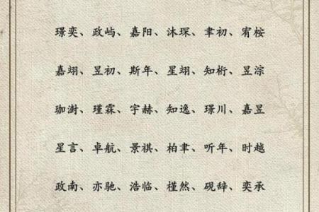 2019年5月11号丑时出生的男孩要怎么起名字姓名