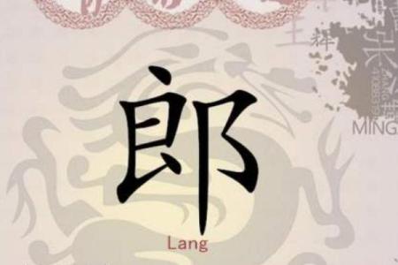 郎姓男孩名字大全-郎姓男孩起名字大全-郎姓名字大全姓名