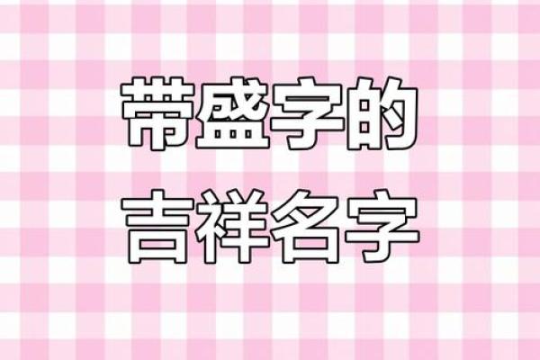 盛姓男孩名字大全-盛姓男孩起名字大全-盛姓名字大全姓名