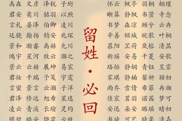 2019年5月28号卯时出生的男孩要怎么起名字姓名