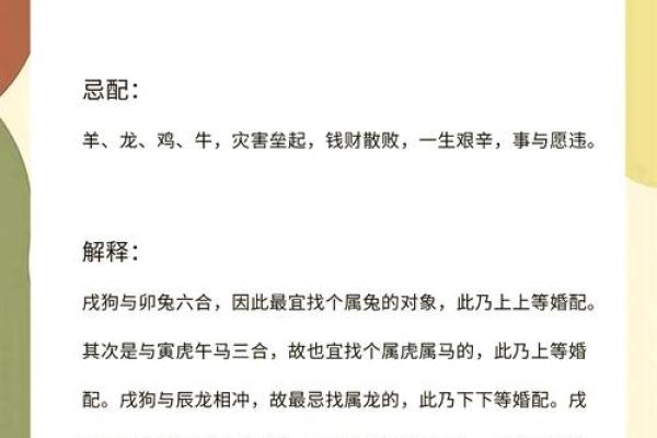 如何给属狗酉时出生的男孩起名，宜用哪些字姓名