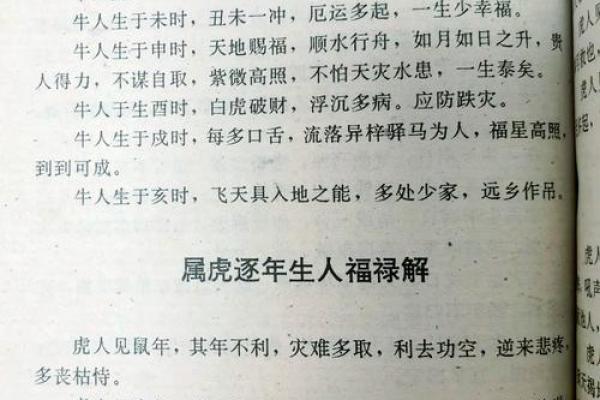 下午5点出生的属虎男孩如何起名，宜用什么字姓名