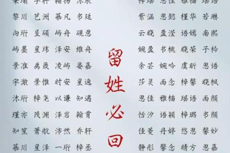 路姓男孩名字大全-路姓男孩起名字大全-路姓名字大全姓名