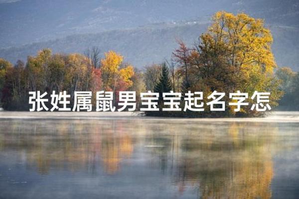 晚上9点出生的属鼠男孩好名推荐姓名