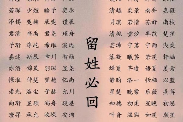 2019年3月27号巳时出生的男孩应该起什么样的名字姓名