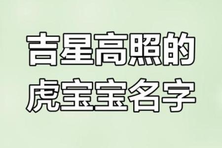 晚上出生的属虎男孩应该如何起名，宜用什么字姓名