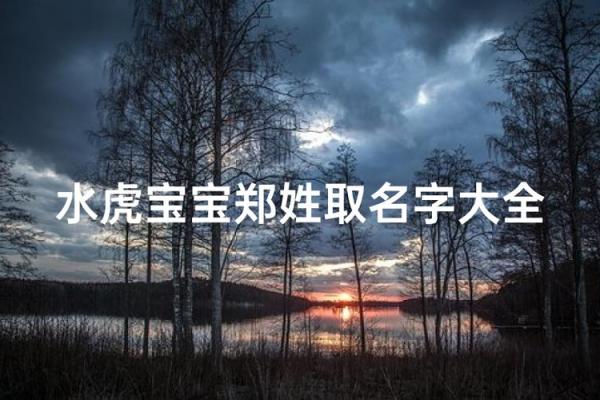 郑姓男孩名字大全-郑姓男孩起名字大全-郑姓名字大全姓名