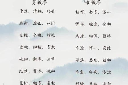 2019年3月17号寅时出生的男孩起名方法姓名