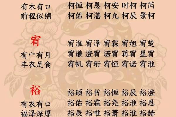 下午4点出生的属蛇男孩要如何起名，宜用什么字姓名