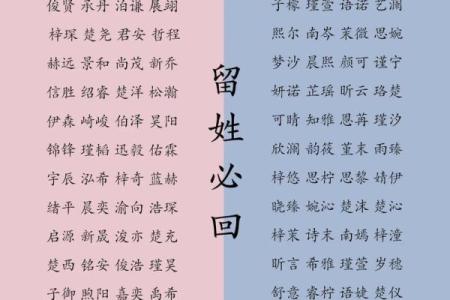 2019年4月29号丑时出生的男孩如何起名姓名