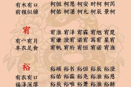 下午4点出生的属蛇男孩要如何起名，宜用什么字姓名
