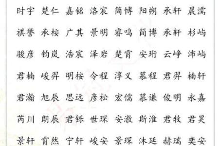 臧姓男孩名字大全-臧姓男孩起名字大全-臧姓名字大全姓名
