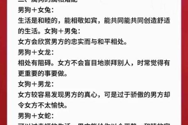 十月份出生的属狗男孩应该如何取一个好名字姓名