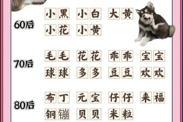 十月份出生的属狗男孩应该如何取一个好名字姓名