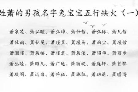 2019年6月23号丑时出生的男孩如何起名姓名