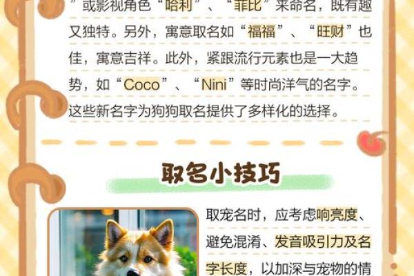 上午11点出生的属狗男孩怎么取名，用什么字好姓名