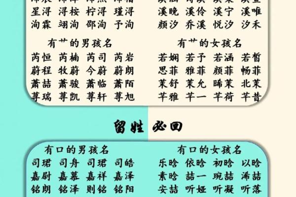 早上出生属兔的男孩应该怎样取名字呢姓名 早上出生属兔的男孩应该怎样取名字呢姓名