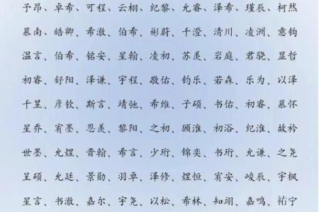 申时出生的属兔男孩适合取什么样的名字姓名