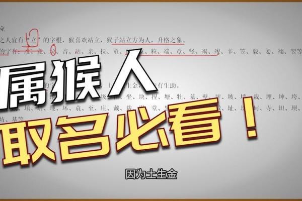 2月份出生的属猴男孩要怎样取名呢?姓名 2月份出生的属猴男孩要怎样取名呢?姓名
