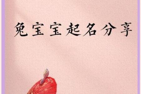 600个适宜2011年兔宝宝的吉祥好名字-姓名学-姓名分析姓名
