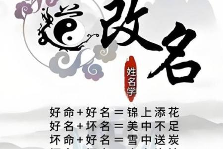 2019年6月22号丑时出生的男孩应该起什么样的名字姓名