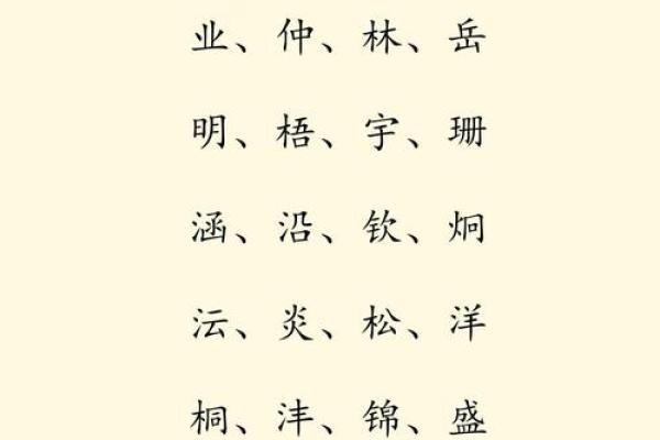 上午11点出生的属虎男孩起什么名，用什么字姓名