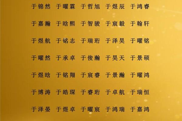 2019年3月20号辛时出生的男孩起名方法姓名