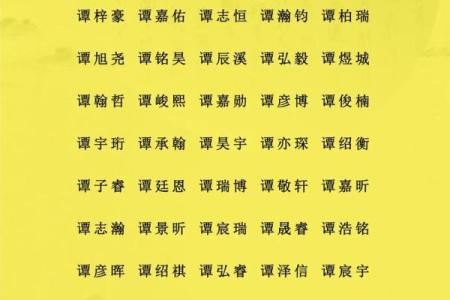 洪姓男孩名字大全-洪姓男孩起名字大全-洪姓名字大全姓名