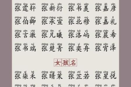 史姓男孩名字大全-史姓男孩起名字大全-史姓名字大全姓名