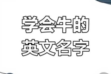 农历四月牛宝宝名字大全,温暖有朝气的男孩女孩名字姓名