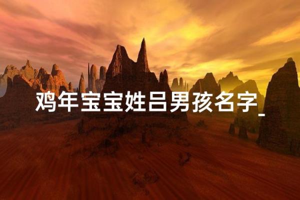 2月份出生的属鸡男孩起什么名字好姓名