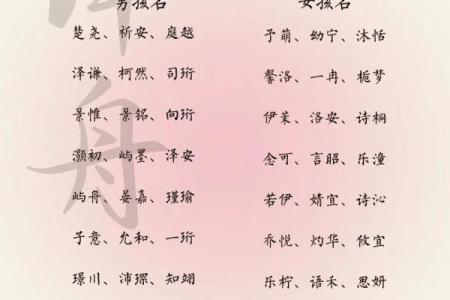 2019年3月24号未时出生的男孩起名时要注意什么姓名