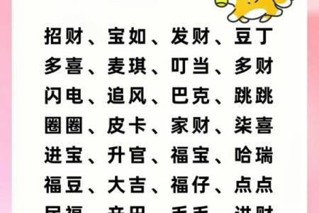 晚上出生的属狗男孩如何取名，应用什么字姓名