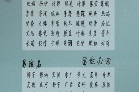 8月份出生的属猴男孩名字取什么好姓名