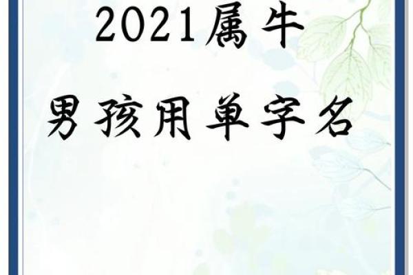 下午3点出生的属牛男孩怎么取名好姓名
