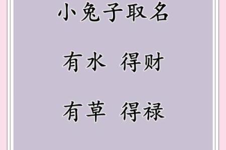 1月份出生的属兔男孩该怎样取名字姓名