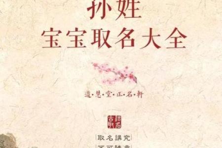 孙姓女孩名字大全-孙姓女孩起名字大全-孙姓名字大全姓名