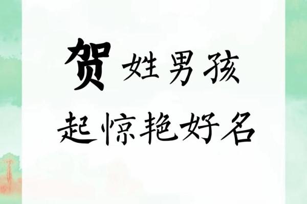 贺姓女孩名字大全-贺姓女孩起名字大全-贺姓名字大全姓名 贺姓女孩名字大全-贺姓女孩起名字大全-贺姓名字大全姓名