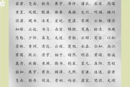 窦姓男孩名字大全-窦姓男孩起名字大全-窦姓名字大全姓名