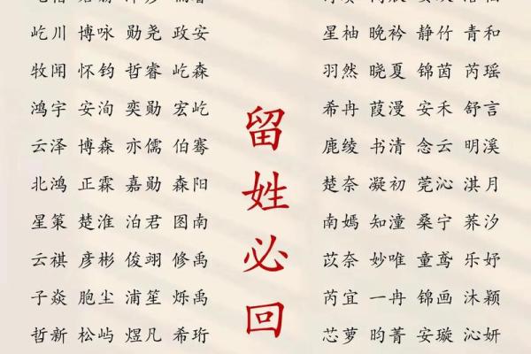 2019年3月29号巳时出生的男孩起名时要注意什么姓名