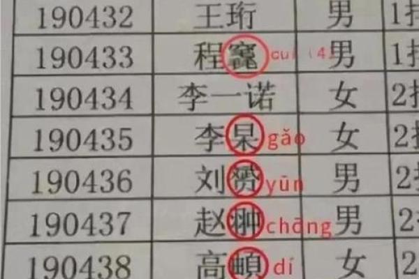 2019年6月19号寅时出生的男孩应该起什么样的名字姓名