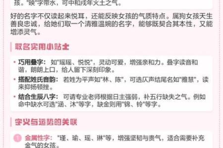 一月份出生的属狗男孩如何取名字姓名