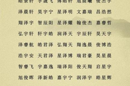 2019年6月19号寅时出生的男孩应该起什么样的名字姓名