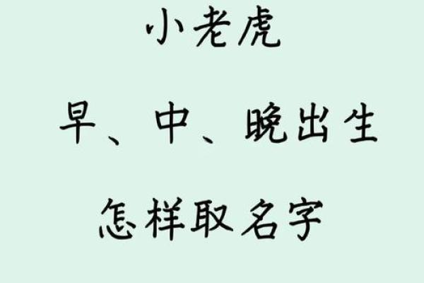 11月份出生的属虎男孩要怎样取名字姓名