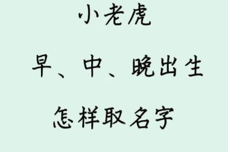 11月份出生的属虎男孩要怎样取名字姓名