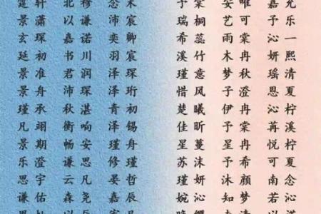 给凌晨3点出生的属猴男孩起名字要用什么字合适姓名